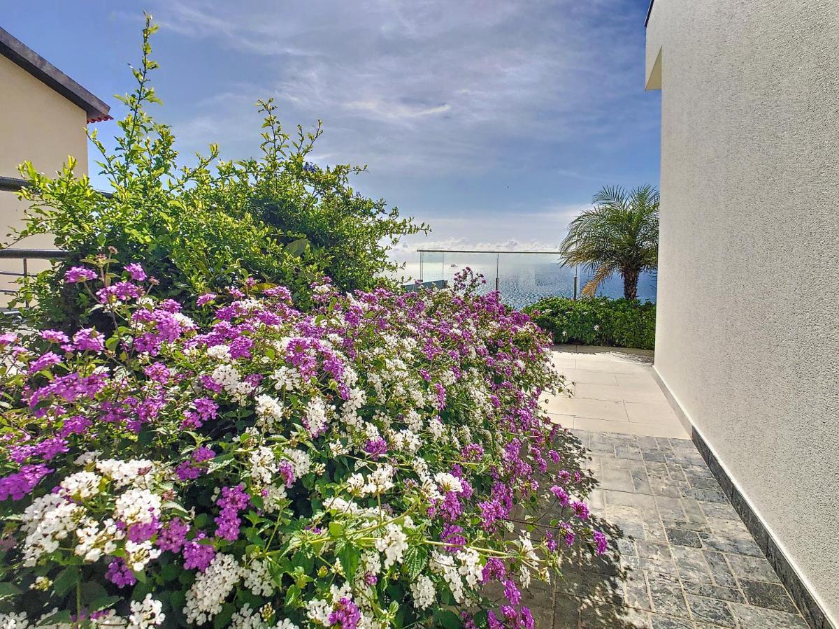Apartament Francelho 2 Aparment By Mhm Ribeira Brava Zewnętrze zdjęcie